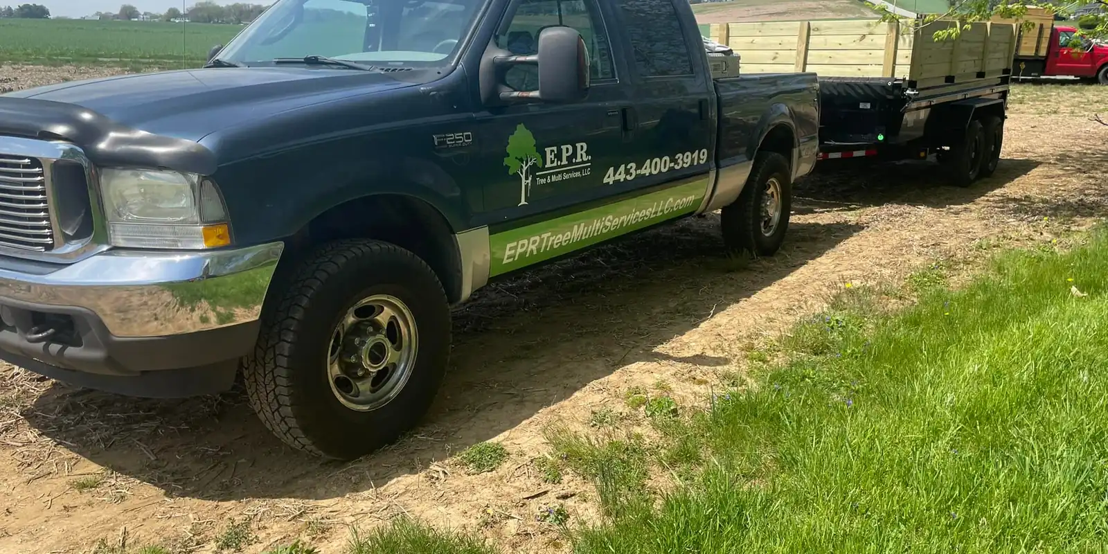 The Perfect Team For Your Tree Needs