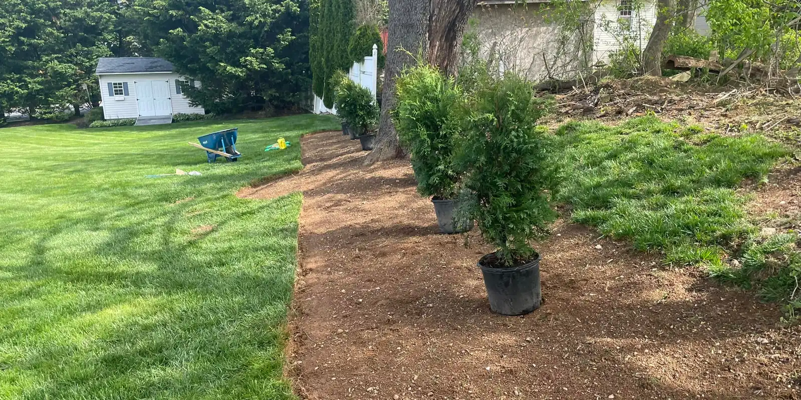 Beautify Your Property With Our Services