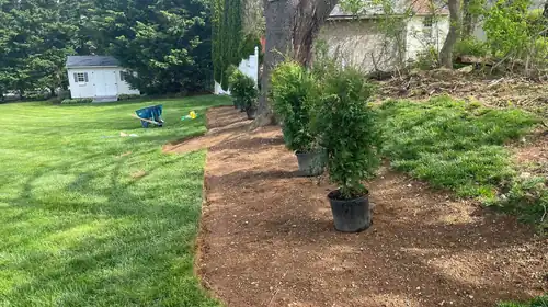 Beautify Your Property With Our Services